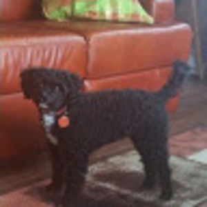 Meet your Posher, Shirley marie